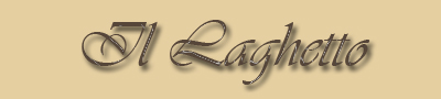 Il laghetto
